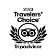 Travelers Choice 2021
